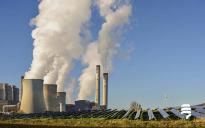 ¿Cómo pueden las empresas reducir y compensar su huella de carbono?