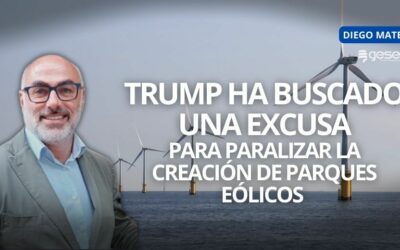 Entrevista a nuestro CEO en ETB2 – El veto de EE. UU. a los parques eólicos marinos de Iberdrola