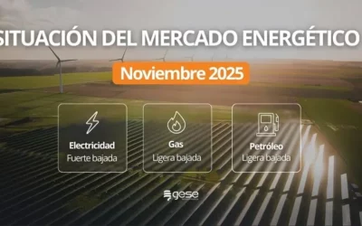 Situación del Mercado Energético – Noviembre 2025