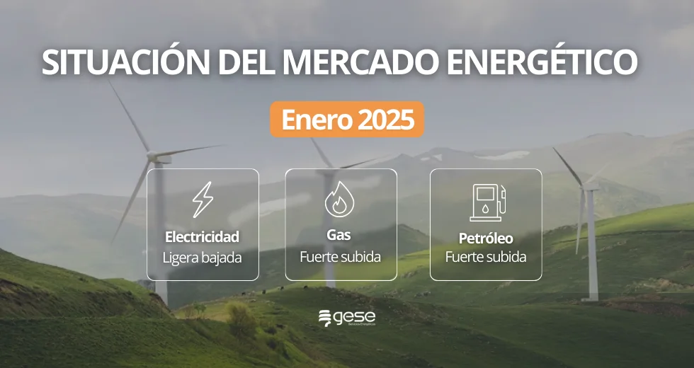 Situación del Mercado Energético – Enero 2026