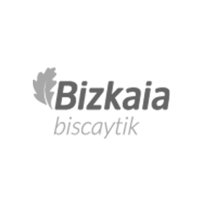Biscaytik