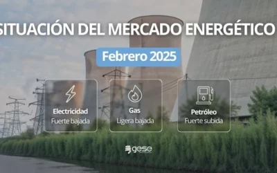 Situación del Mercado Energético – Febrero 2026