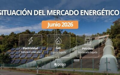 Informe de situación del mercado energético – Junio 2026