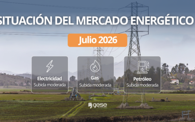 Informe de situación del mercado energético – Julio 2026